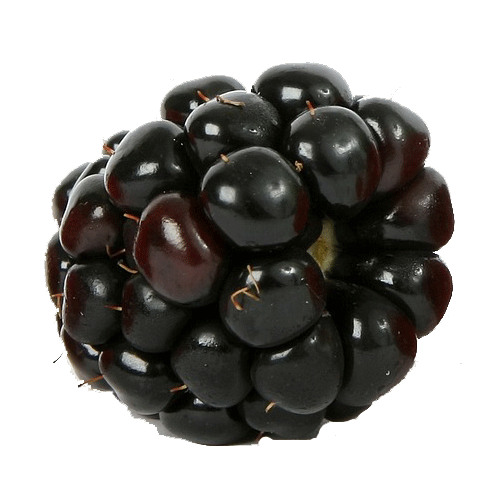blackberry