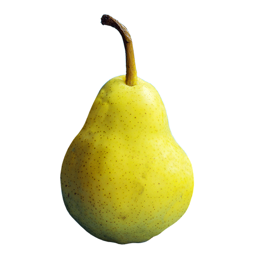 Pear