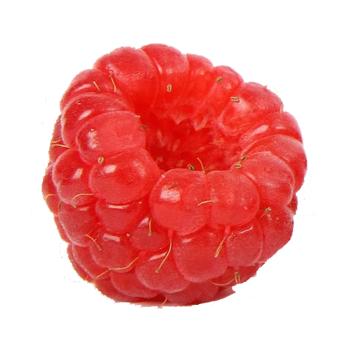 rasberry